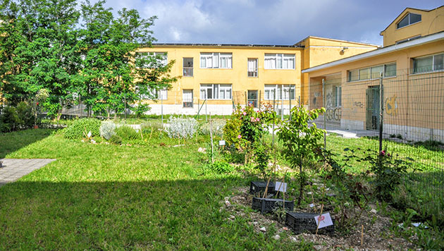 L'orto botanico nella sede di Via San Gaetano